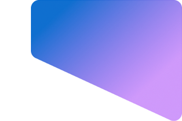 Audience 1